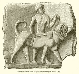 قرص Terracotta من بابل ، يمثل كلبًا هنديًا بواسطة مدرسة اللغة الإنجليزية
