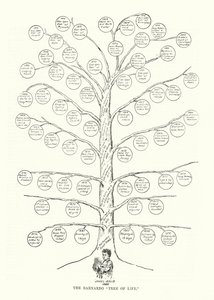 The Barnardo Tree of Life (lithograph) بواسطة مدرسة اللغة الإنجليزية
