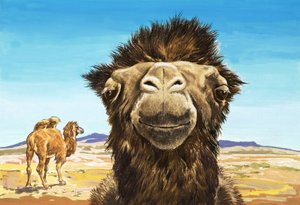 الجمل، رسم توضيحي من "مخلوقات ذات وجوه مضحكة بواسطة مدرسة اللغة الإنجليزية