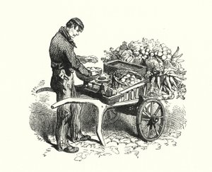 The Costermonger (engraving) بواسطة مدرسة اللغة الإنجليزية