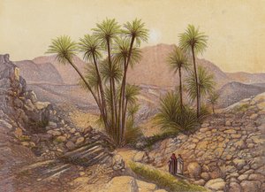 صحراء سيناء (طباعة حجرية ملونة) بواسطة مدرسة اللغة الإنجليزية