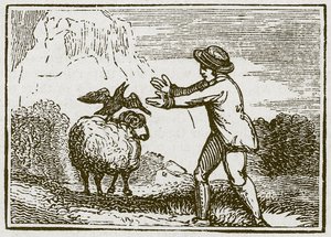 النسر والغراب (نقش) بواسطة مدرسة اللغة الإنجليزية
