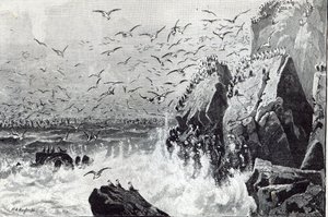 مطاردة النوارس ، من "وقت الفراغ" ، 1888 بواسطة مدرسة اللغة الإنجليزية