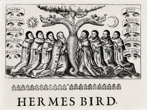 The Hermes Bird ، من Theatrum Chemicum ، 1652 بواسطة مدرسة اللغة الإنجليزية