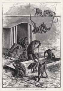 The Monkey House at the Zoological Gardens، Regent