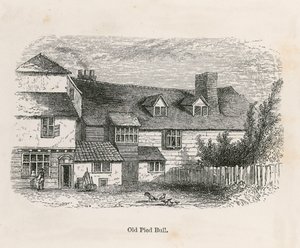 The Old Pied Bull (الخلفي)