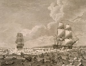 دفع السباق والذبيحة عبر الجليد ، 10 أغسطس 1773 ، من رحلة نحو القطب الشمالي التي قامت بها جلالة الملك 1773 ، نشرت لندن 1774 بواسطة مدرسة اللغة الإنجليزية