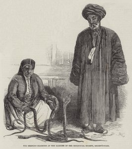 The Serpent-Charmers at the Gardens of the Zoological Society، Regent's-Park (نقش) بواسطة مدرسة اللغة الإنجليزية