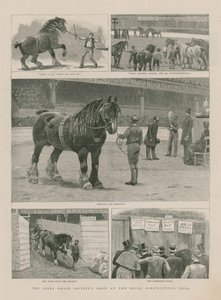 عرض Shire Horse Societys في القاعة الزراعية الملكية بواسطة مدرسة اللغة الإنجليزية