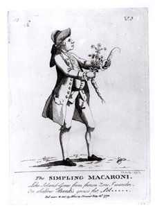 The Simpling Macaroni ، حانة. بواسطة N. Darly ، 13 يوليو 1772 (النقش) (صور من وزن الجسم) بواسطة مدرسة اللغة الإنجليزية