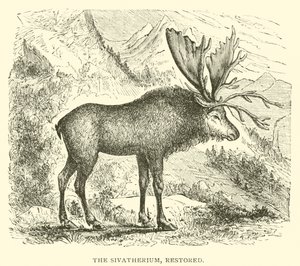 Sivatherium ، ترميم (نقش) بواسطة مدرسة اللغة الإنجليزية