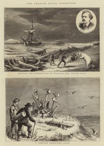 The Swedish Arctic Expedition (engraving) بواسطة مدرسة اللغة الإنجليزية