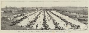 The War in the Soudan, the Camel Depot at Suez (engraving) بواسطة مدرسة اللغة الإنجليزية
