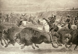 "الغرب المتوحش" في المعرض الأمريكي الكبير: صيد البيسون و Wapiti Deer ، من "أخبار لندن المصورة" ، 18 يونيو 1887 بواسطة مدرسة اللغة الإنجليزية