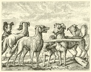 الكلب المؤذي (نقش) بواسطة مدرسة اللغة الإنجليزية