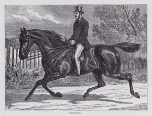 Trotting (engraving) بواسطة مدرسة اللغة الإنجليزية