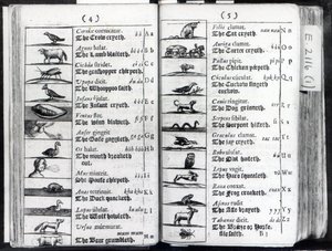 صفحتان من World Sensualium Pictus Comenius ، 1659 بواسطة مدرسة اللغة الإنجليزية