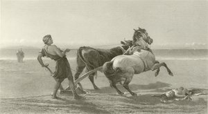 أوليس يحرث شاطئ البحر (الحفر) بواسطة مدرسة اللغة الإنجليزية