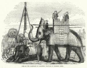 استخدامات الفيل في الحروب الشرقية في العصر الحديث (نقش) بواسطة مدرسة اللغة الإنجليزية
