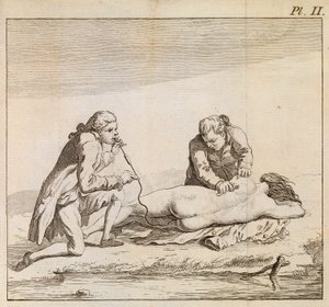 استخدام مبخرة لنفخ دخان التبغ في أحشاء امرأة غريقة للمساعدة في إنعاشها، حوالي عام 1790 (نقش) بواسطة مدرسة اللغة الإنجليزية