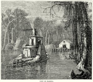 عرض في فلوريدا (نقش) بواسطة مدرسة اللغة الإنجليزية