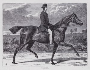 Walking (engraving) بواسطة مدرسة اللغة الإنجليزية