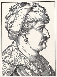 صورة السلطان سليمان الأول