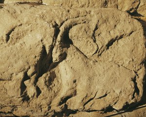  بواسطة إريك ليسينج