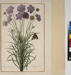  بواسطة إريك ليسينج