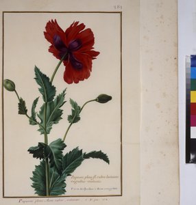  بواسطة إريك ليسينج