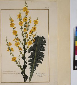  بواسطة إريك ليسينج