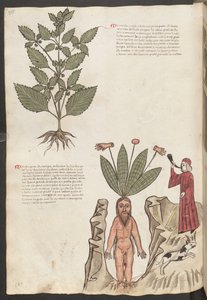  بواسطة إريك ليسينج