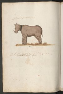  بواسطة إريك ليسينج