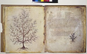  بواسطة إريك ليسينج