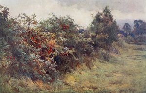 وحي النضوج بواسطة إرنست بينجر أو بيرنجر