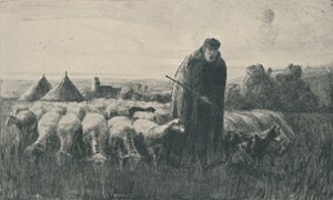 بيكاردي شيبرد ، 1919 بواسطة إرنست جورج بيتش