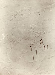 النظر إلى الأسفل من المنطاد عبر الهضبة باتجاه "ديسكفري" (1901). من ألبوم للسير إرنست هنري شاكلتون بعنوان البعثة الوطنية للقطب الجنوبي (1901-1903) بواسطة إرنست هنري شاكلتون