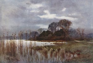 The Mill Pond ، بوليو (لون ليثو) بواسطة إرنست ويليام هاسلهوست