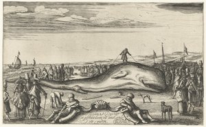 حوت العنبر الذي تقطعت به السبل على الشاطئ في Noordwijk ، 1614 بواسطة Esaias van de Velde