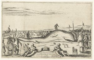 حوت تقطعت به السبل على الشاطئ في Noordwijk ، 1614