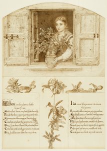 نافذة الجيسامين ، ترسم باتجاه "أغاني توسكانا على جانب الطريق" بواسطة إستر فرانسيس (1837 1917) ألكسندر