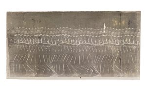 رجل يمشي ، 1882 بواسطة إتيان جول ماري