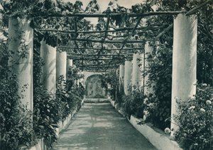 العريشة في كرم ، كابري ، إيطاليا ، 1927 بواسطة يوجين بوبيل