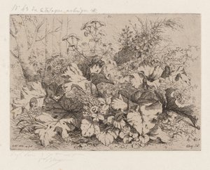 الأرقطيون في بلوم ، 1858. بواسطة يوجين بليري