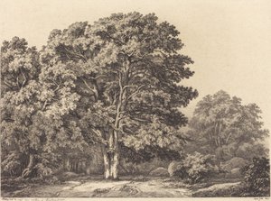 مدخل الغابة ، 1840.