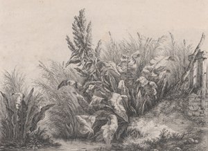 مصنع حوض المياه العظيم ، 1840.