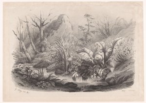 Oeverplanten bij een beek نباتات متنوعة (عنوان السلسلة) مجموعات من النباتات المختلفة المرسومة على الطبيعة والمطبوعة بالحجر (عنوان السلسلة) بواسطة تيري فرير