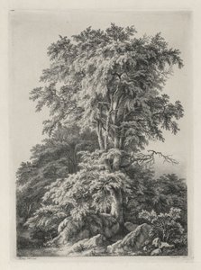 دراسات مرسومة ونقشت بعد الطبيعة: الشاطئ ، Fontainbleau ... ، 1840.