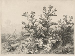 The Great Thistle Le Grand Chardon ، 1843.