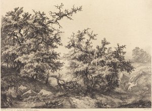 ثورنبوشيس ، 1840.